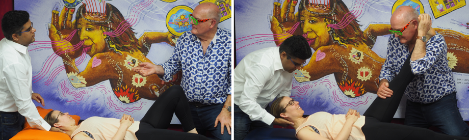 NOI Mobilisation of the Neuroimmune System